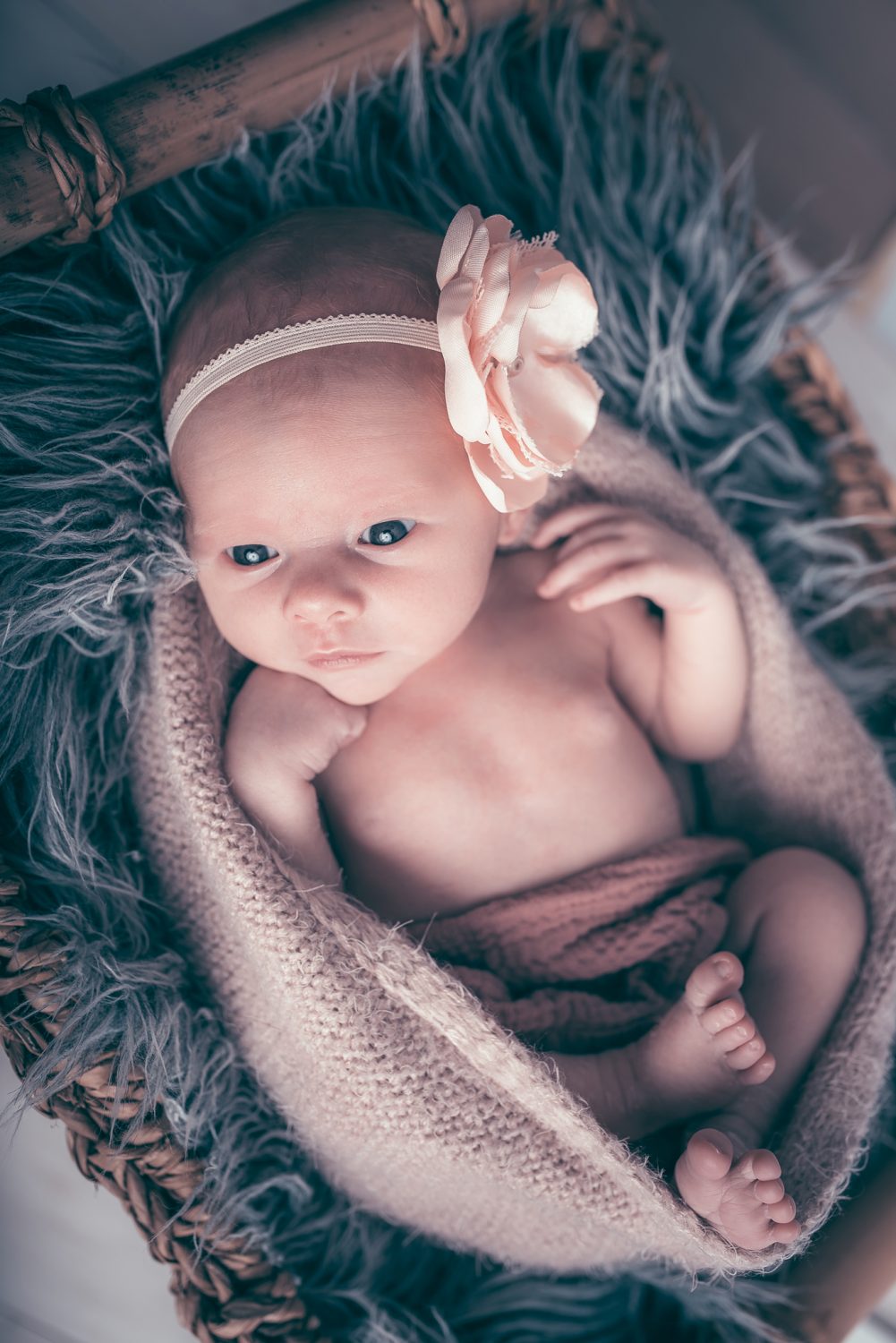 Traumkind Fotos Newborn Shooting555 - Babyfotos